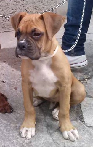 Aquí mi Pimpon a los dos meses y medio